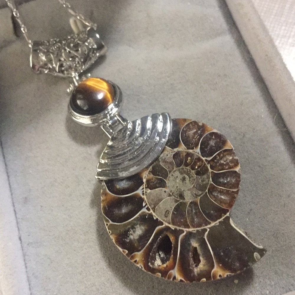 NEW Beautiful tigers eye & Fossil Ammonite Chakra (Chain not included).